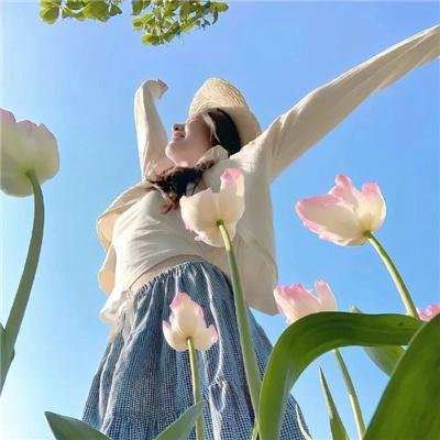 奇妙仙子：拯救精灵大作战